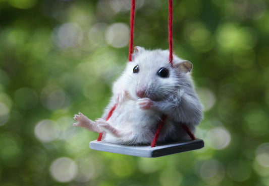 Mouse swinging from a swing