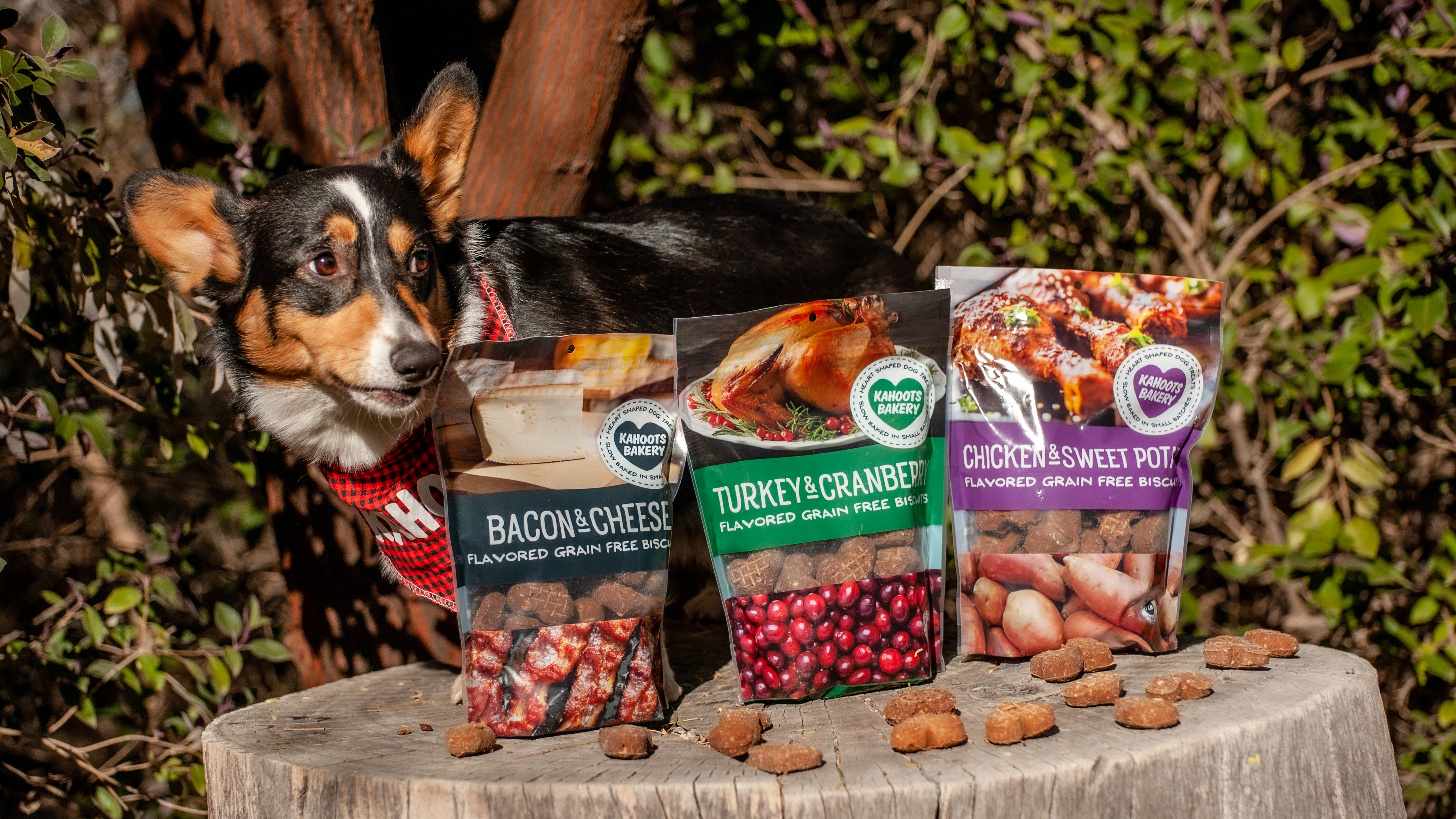 Aldi Dog Treats Natural Elements Dog Food Natural Elements Aldi