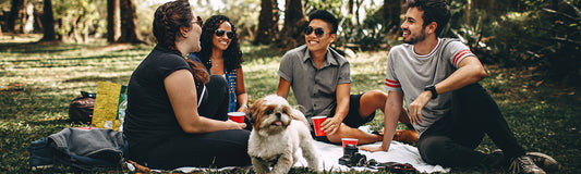 Group of friends and dogs at a picnic