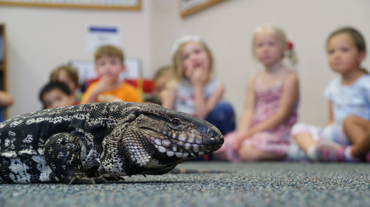 Critter Encounters at Kahoots: Where Family Fun Meets Discovery