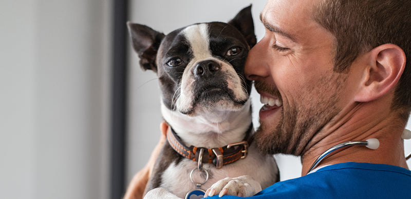 Puppy Vaccinations: What to Know, When to Give Them