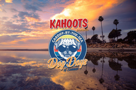 Dog days of summer logo overlaid on a beach at sunset