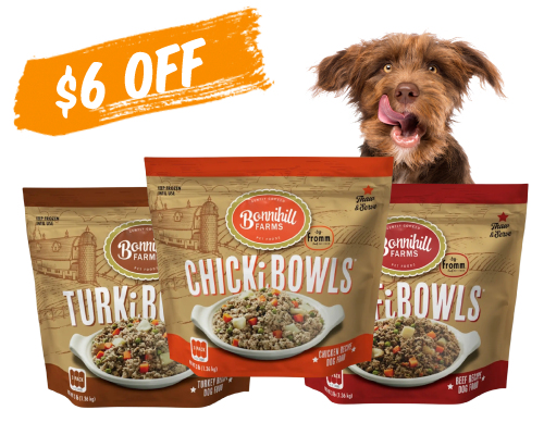 Dog licking lips behind gently cooked recipes