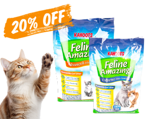 Cat scratching on cat litter bags