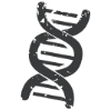All life stages icon