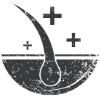 skin healthy icon