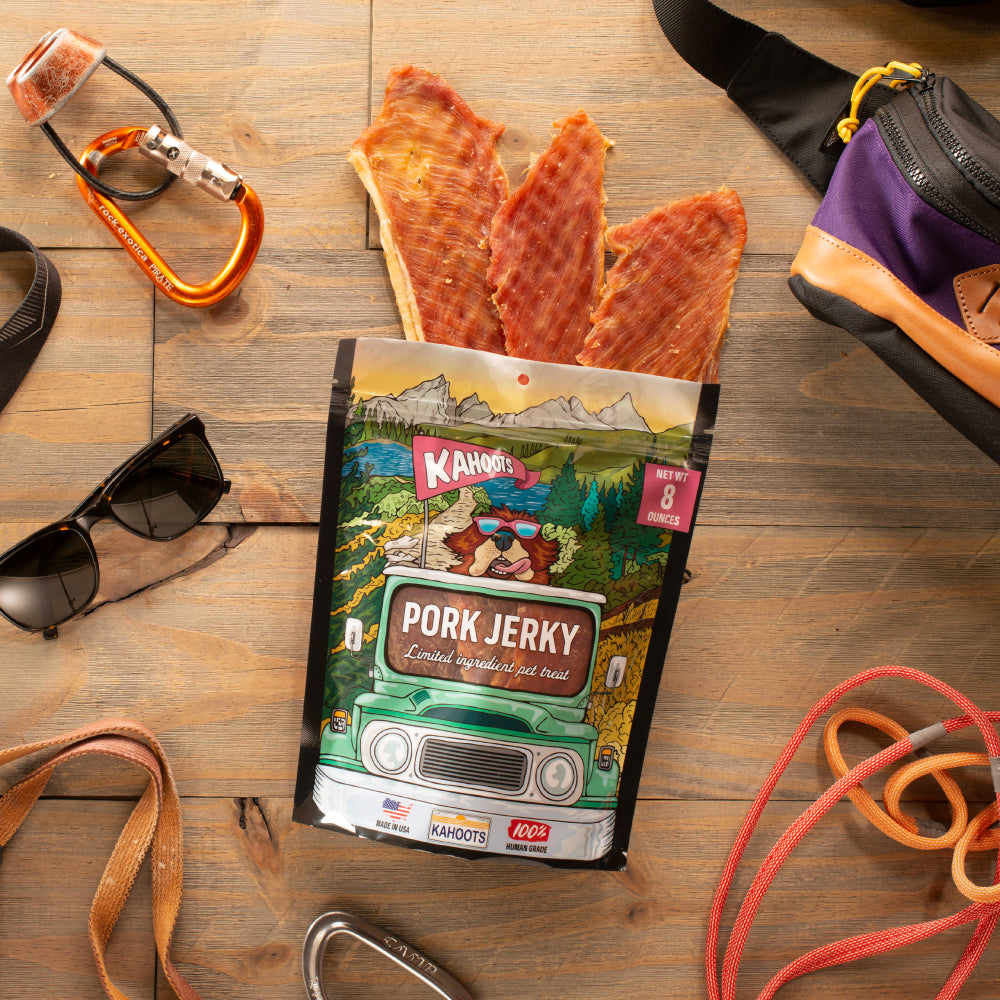 pork jerky treat against wooden background with travel gear around