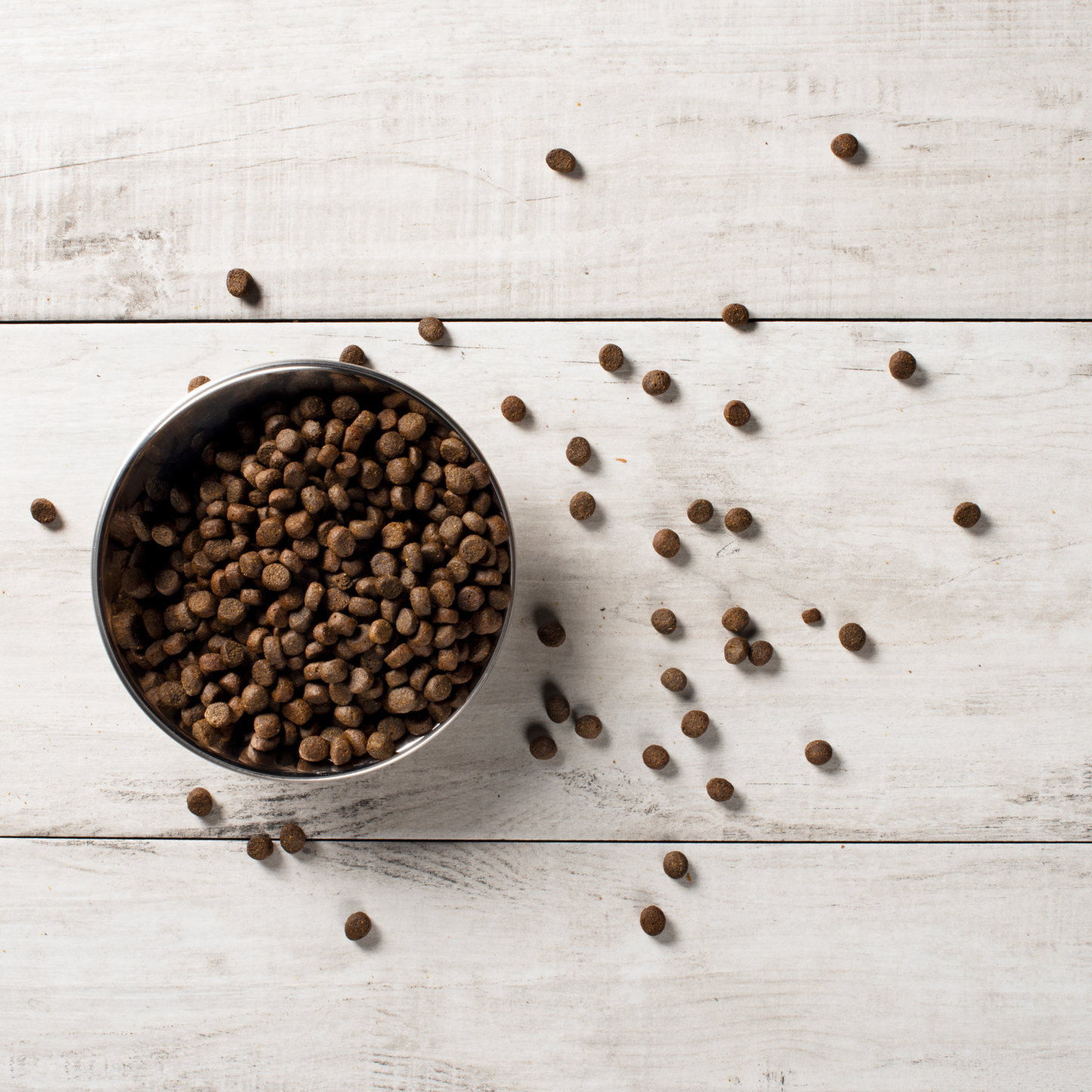 Salmon and sweet potato dog kibble in bowl