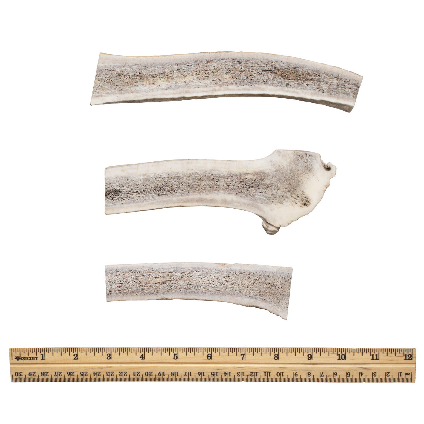 Split Antler Lineup
