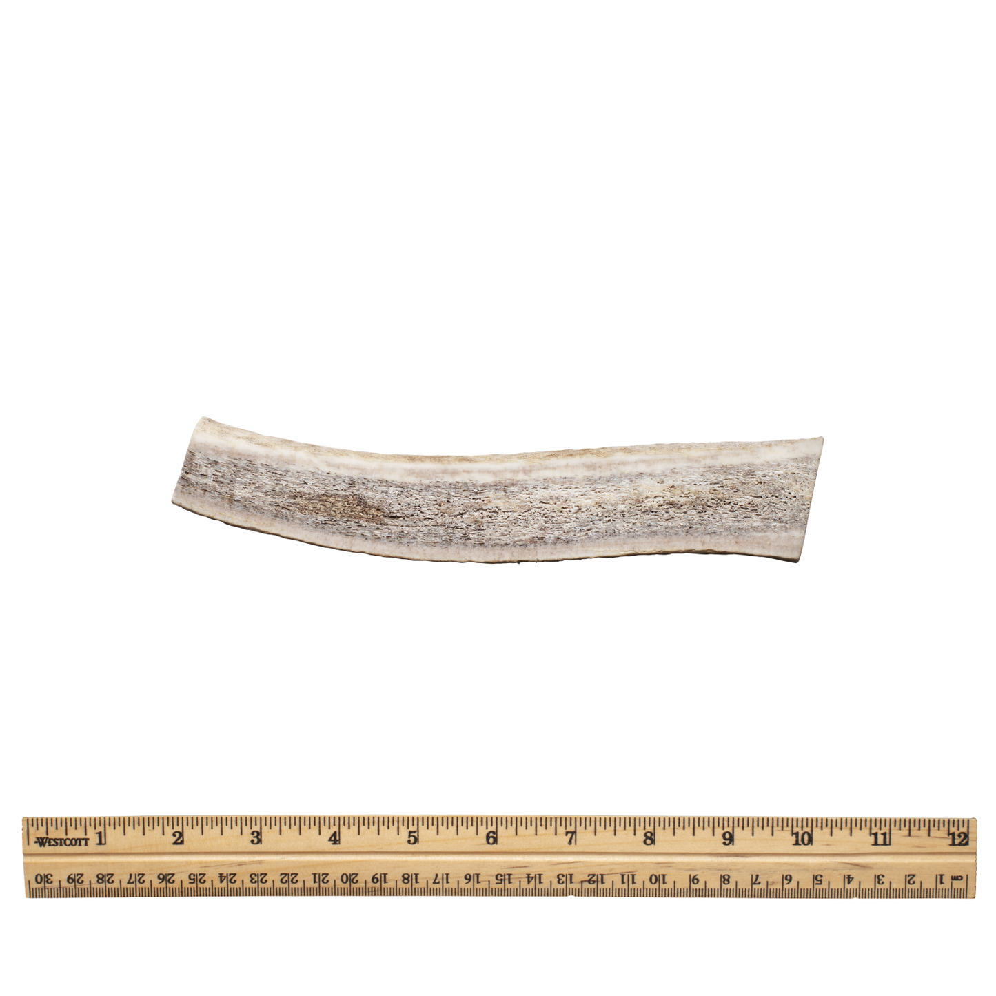 Split antler lg without tag