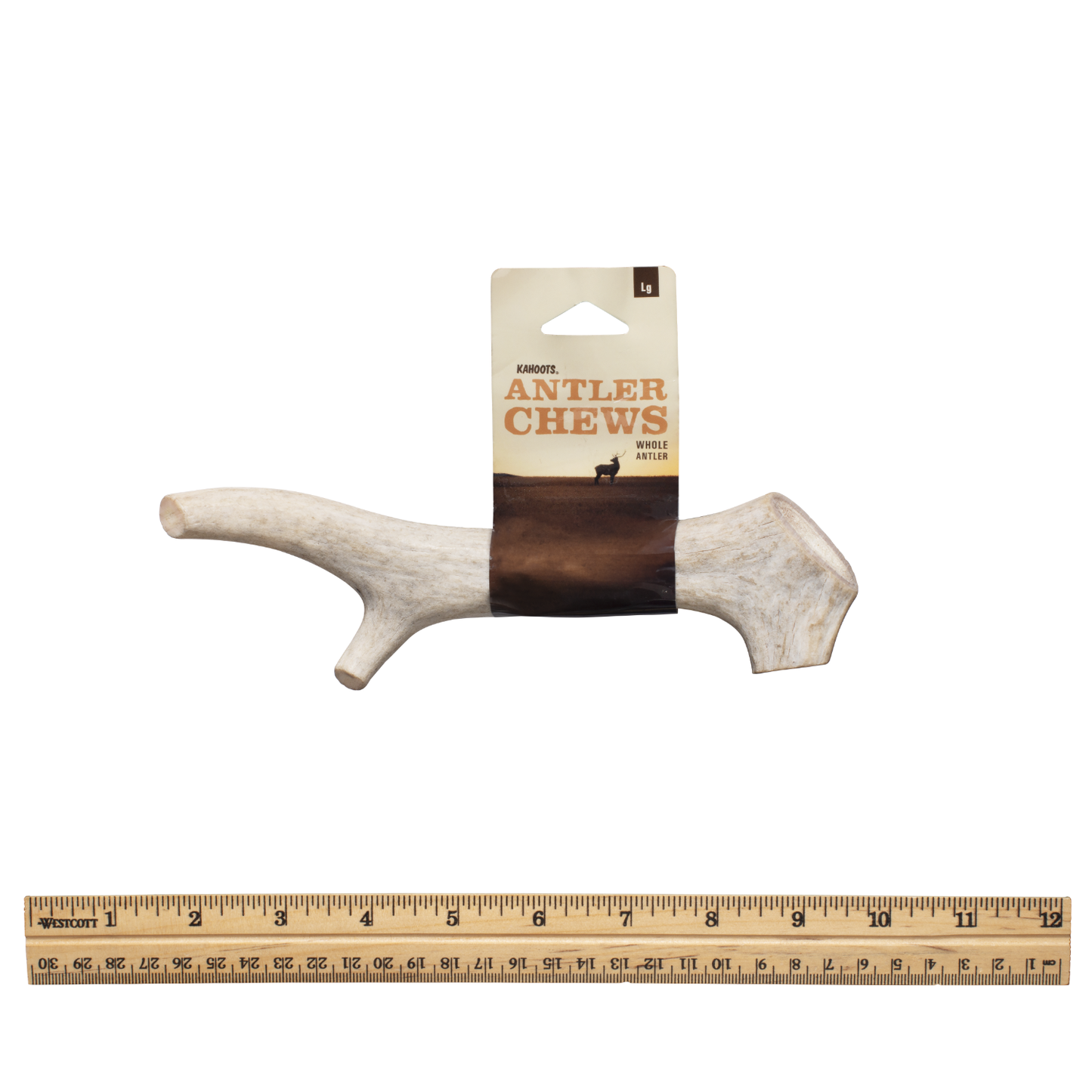 Whole antler lg with tag