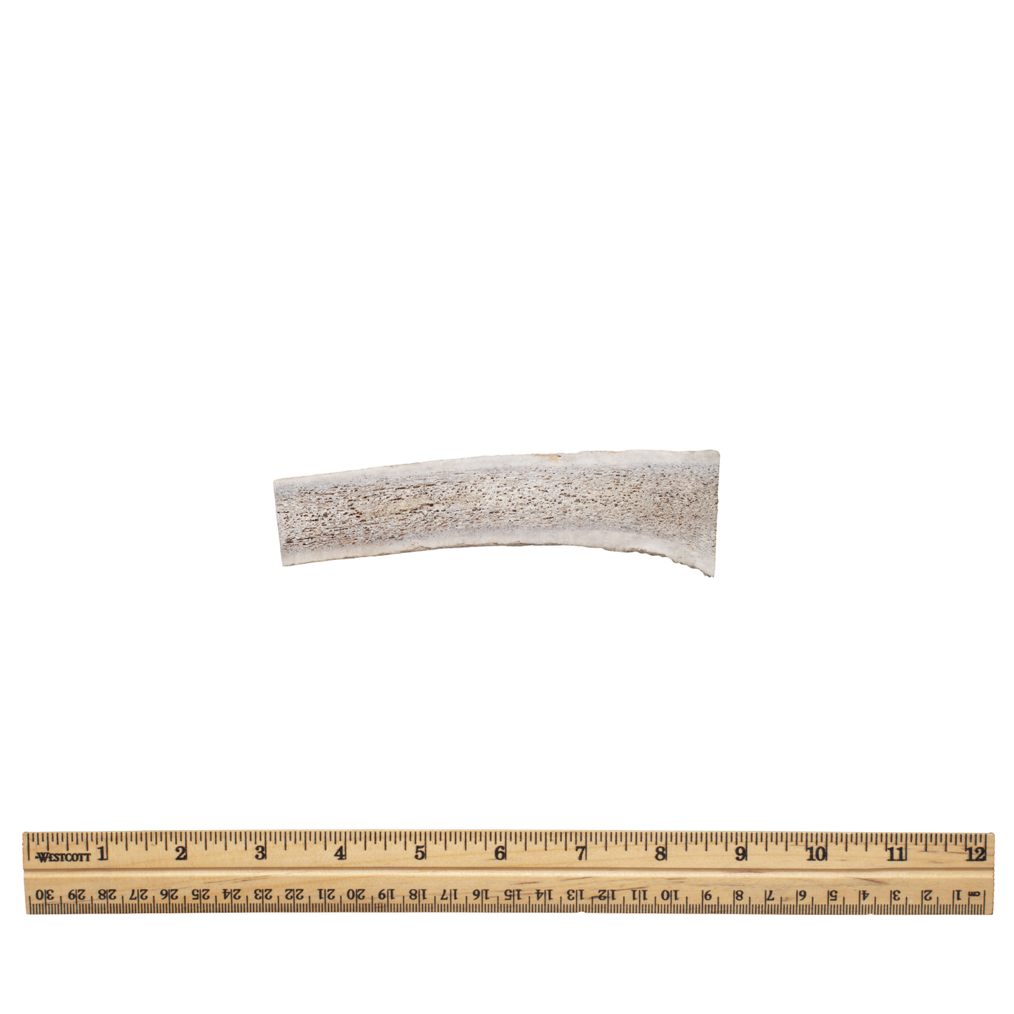 Split antler md without tag