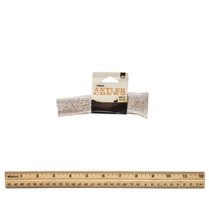 Split antler md with tag
