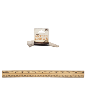 Whole antler sm with tag