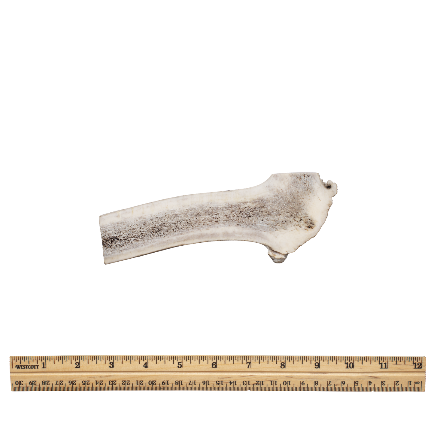 Split antler xl without tag