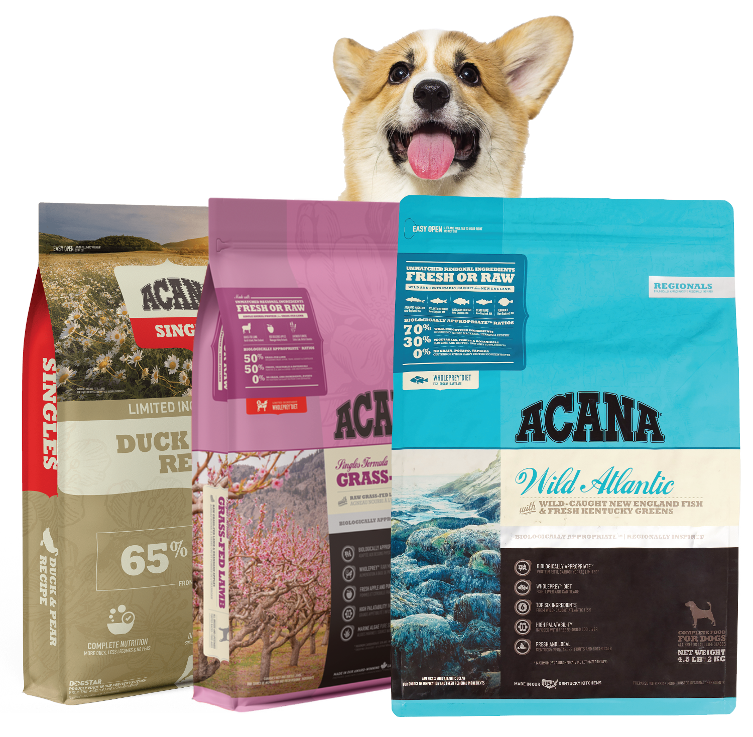 dog peaking out from behind assorted acana dog food