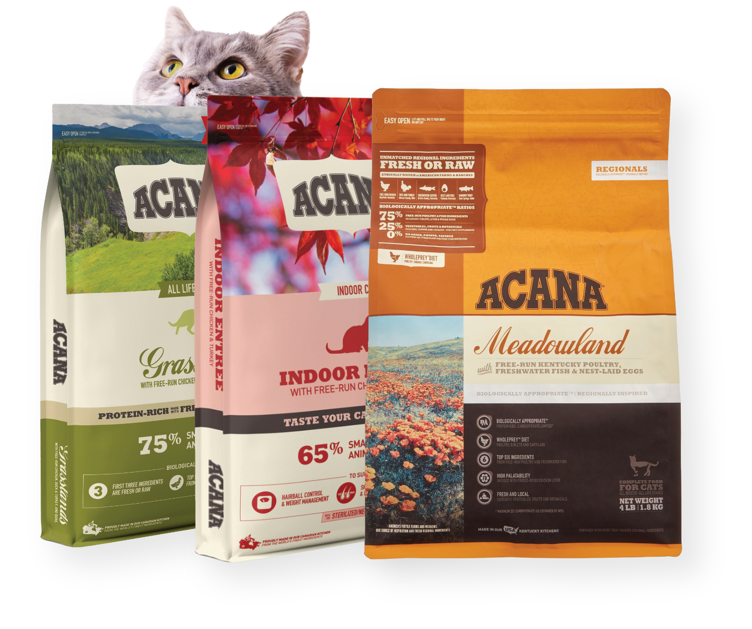 cat peaking out from behind assorted bags of acacia cat food
