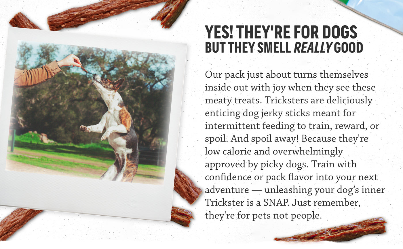 YES! THEY'RE FOR DOGS BUT THEY SMELL REALLY GOOD. Our pack just about turns themselves inside out with joy when they see these meaty treats. Tricksters are deliciously enticing dog jerky sticks meant for intermittent feeding to train, reward, or spoil. And spoil away! Because they're low calorie and overwhelmingly approved by picky dogs. Train with confidence or pack flavor into your next adventure—unleashing your dog's inner trickster is a SNAP. Just remember, they're for pets not people.