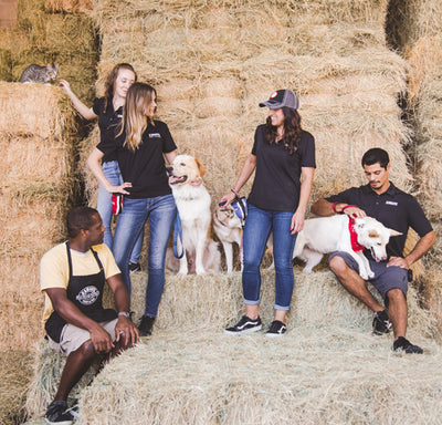 Group of kahoots employees with their animals on a haystack