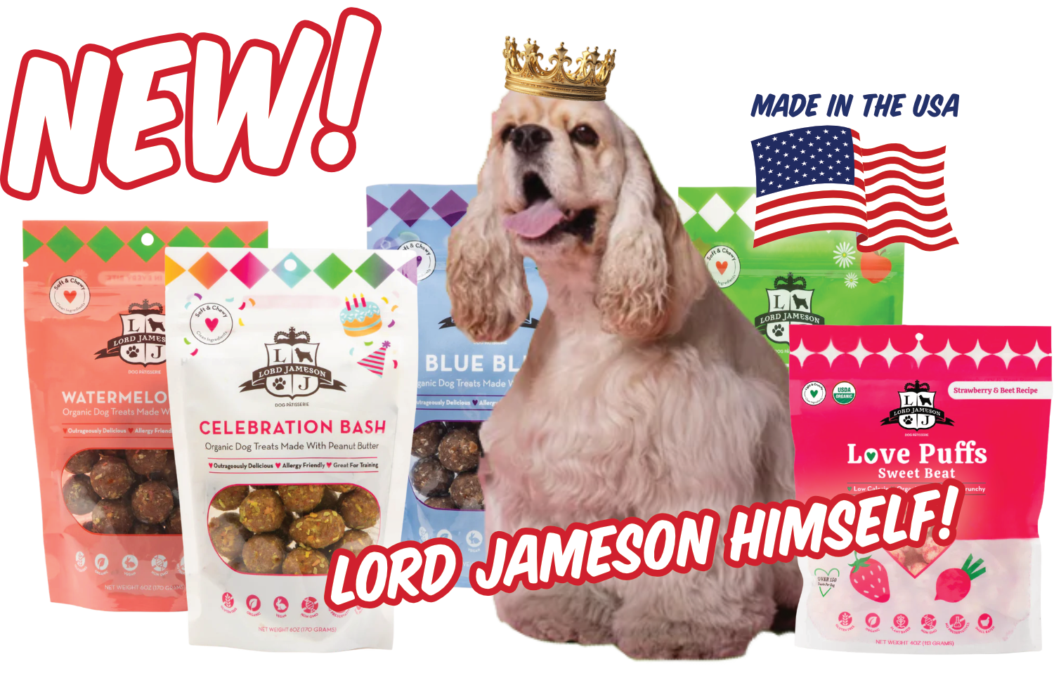Lord Jameson the therapy dog posing with his treats