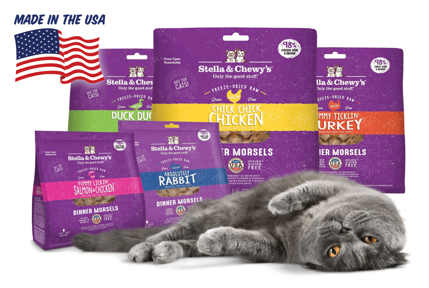 Cat laying in front of Stella & Chewy's products