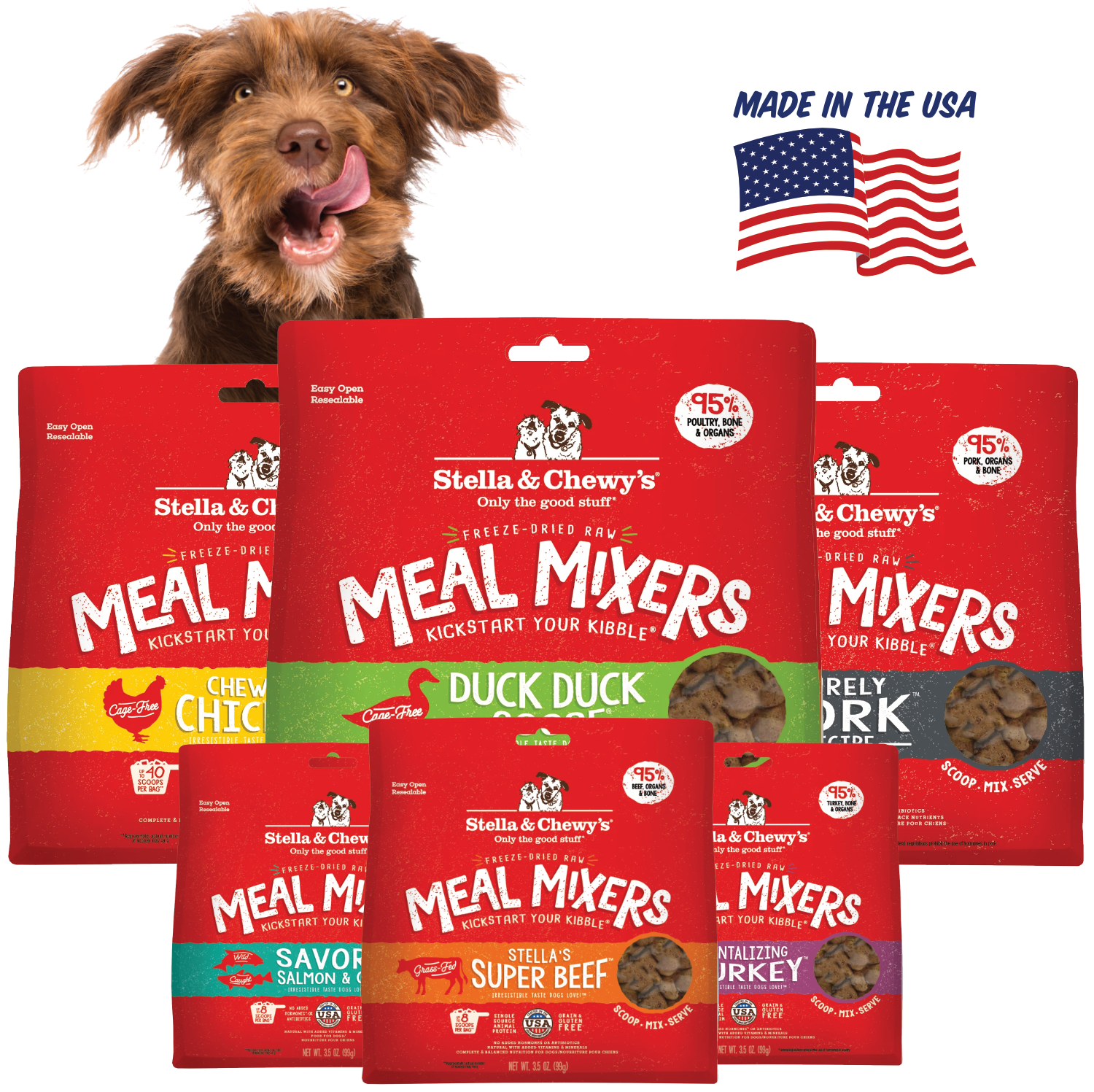 Stella and Chewy's meal mixins