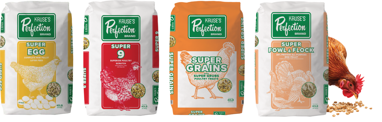 Kruse's poultry product lineup with Chicken pecking at grains behind bags