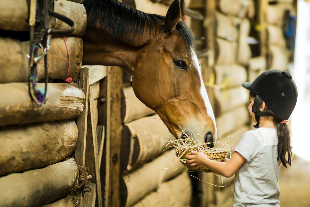 Little girls feeding a handful of hay to her horse