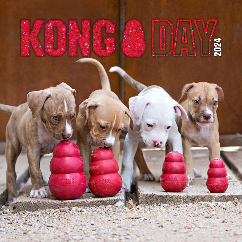 Puppies licking the stuffing out of kong toys