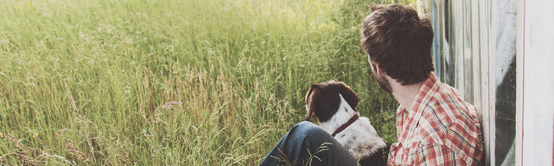 Man looking over a wheat field with dog