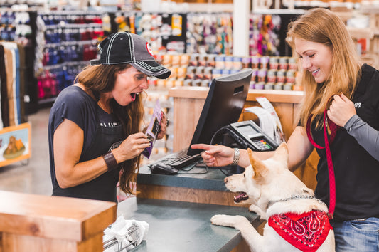 Dog begging for treat from two employees at a store counter