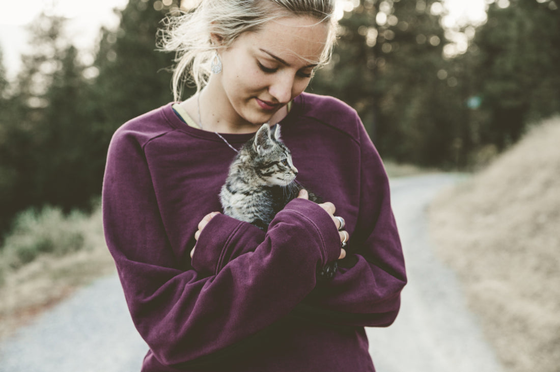 Cat in a girl's arms outside
