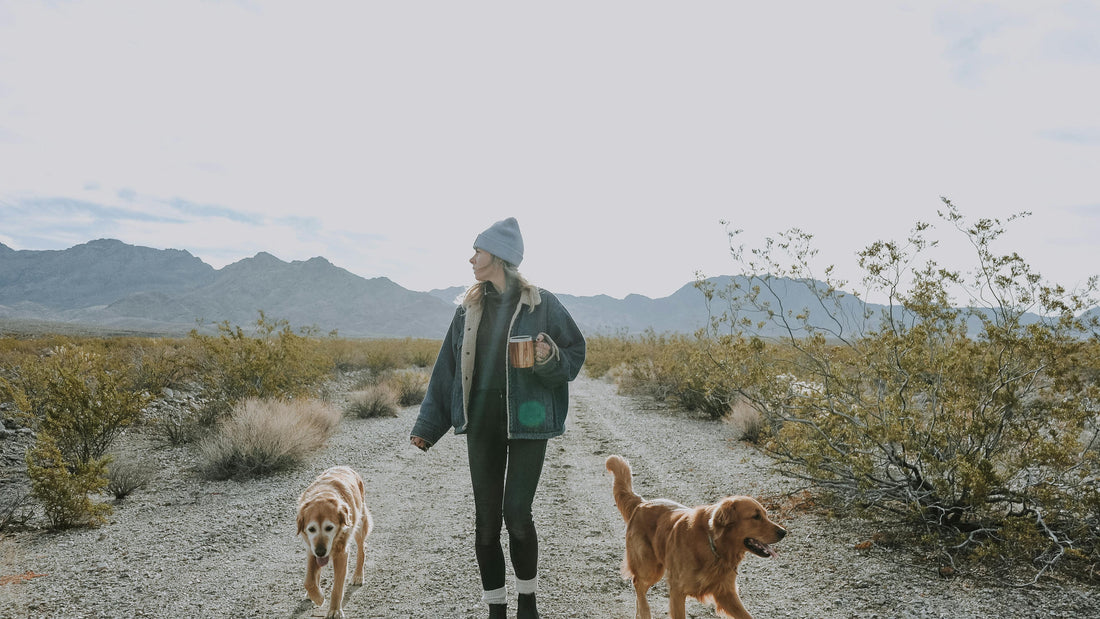 10 Dog-Friendly Hikes in San Diego, LA & Arizona