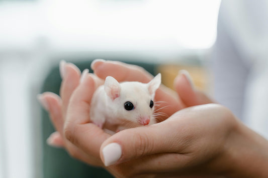 Mice