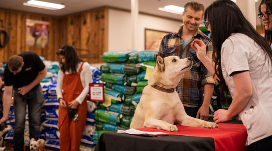 Dogs waiting in line at the vet clinic