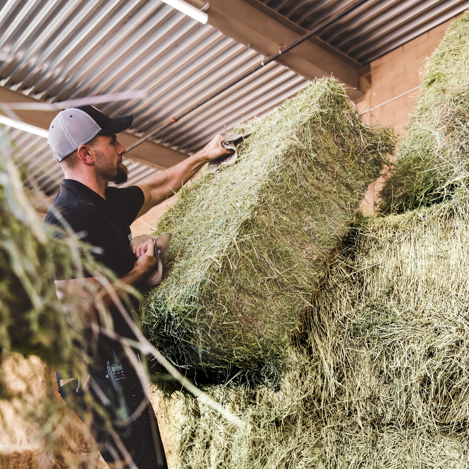 Man pulling hay from stack