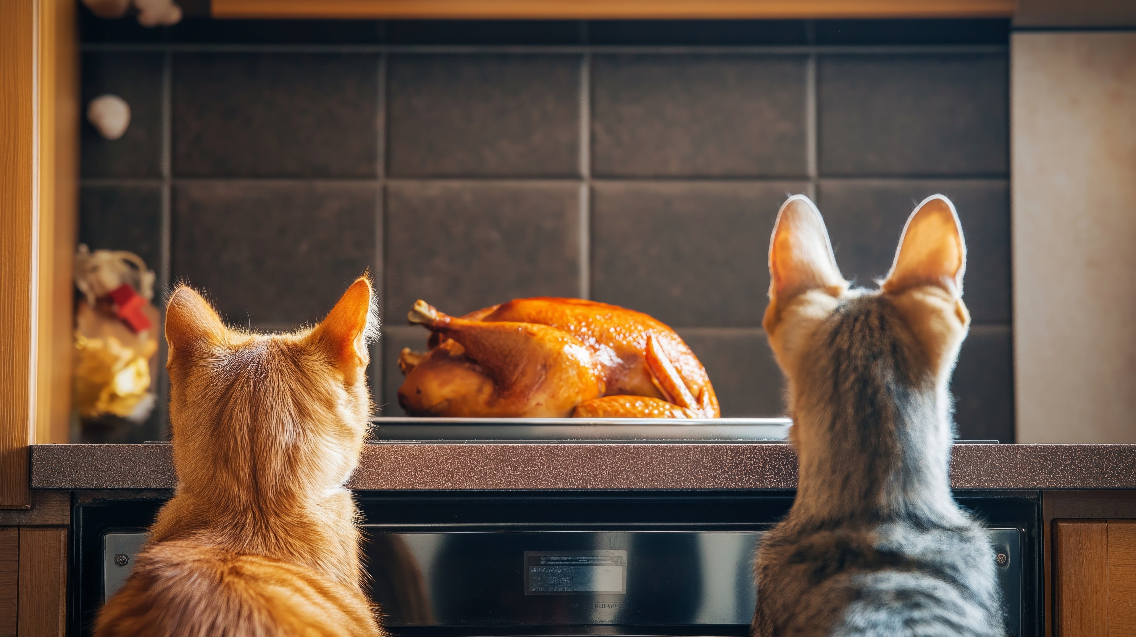 Two cats looking at a roasted turkey on a kitchen counter.