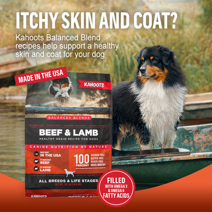 Dog standing next to a bag of Kahoots Balanced Blends Beef & Lamb dog food with text about skin and coat health.