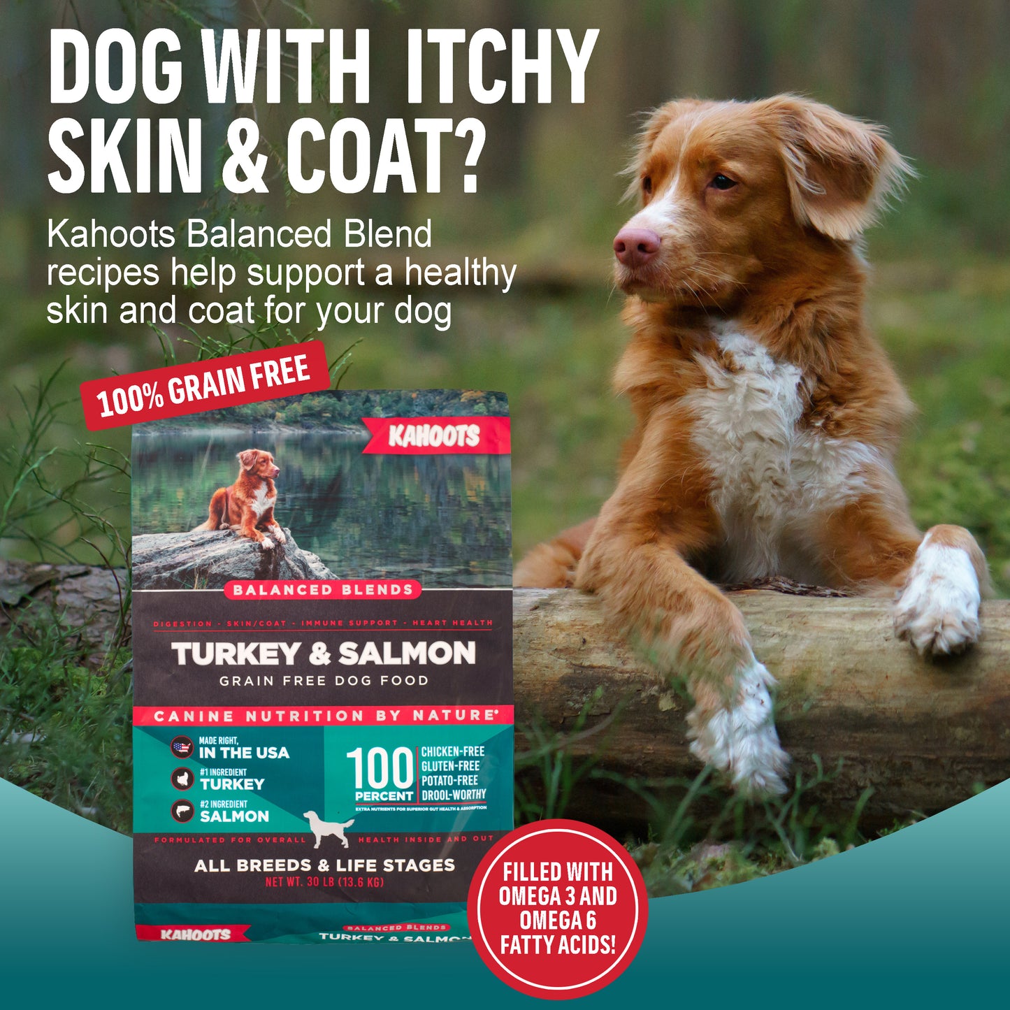 skin and coat infographic