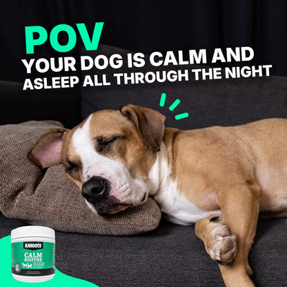 A dog sleeping on the couch  with the Kahoots Calm & Soothe Product