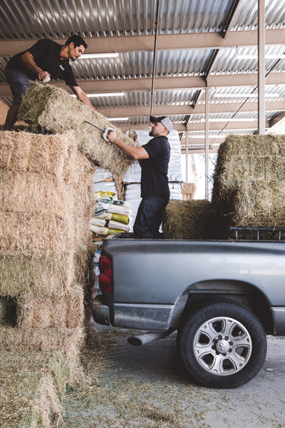 Kahoots employees loading a bale of hay into the back of a truck