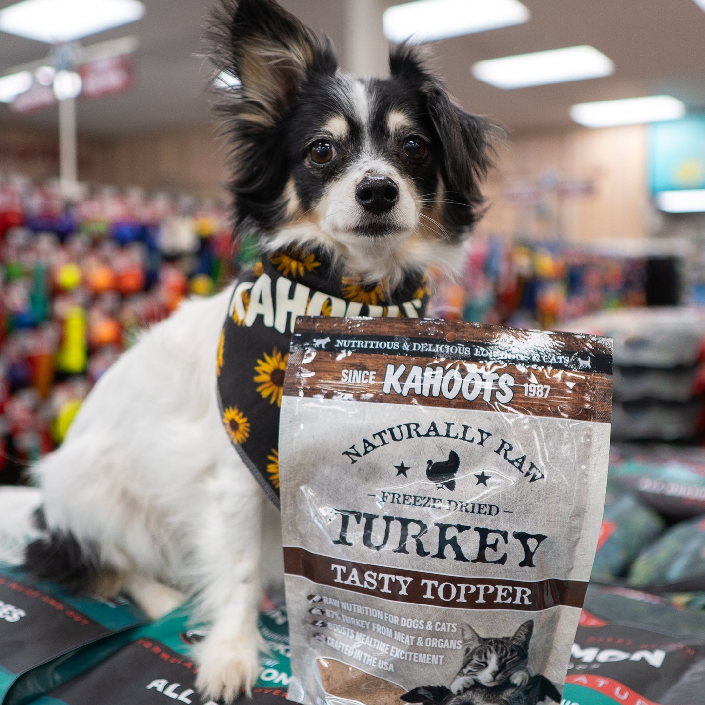 Dog Sitting next tio Kahoots Tasty Topper Turkey Bag