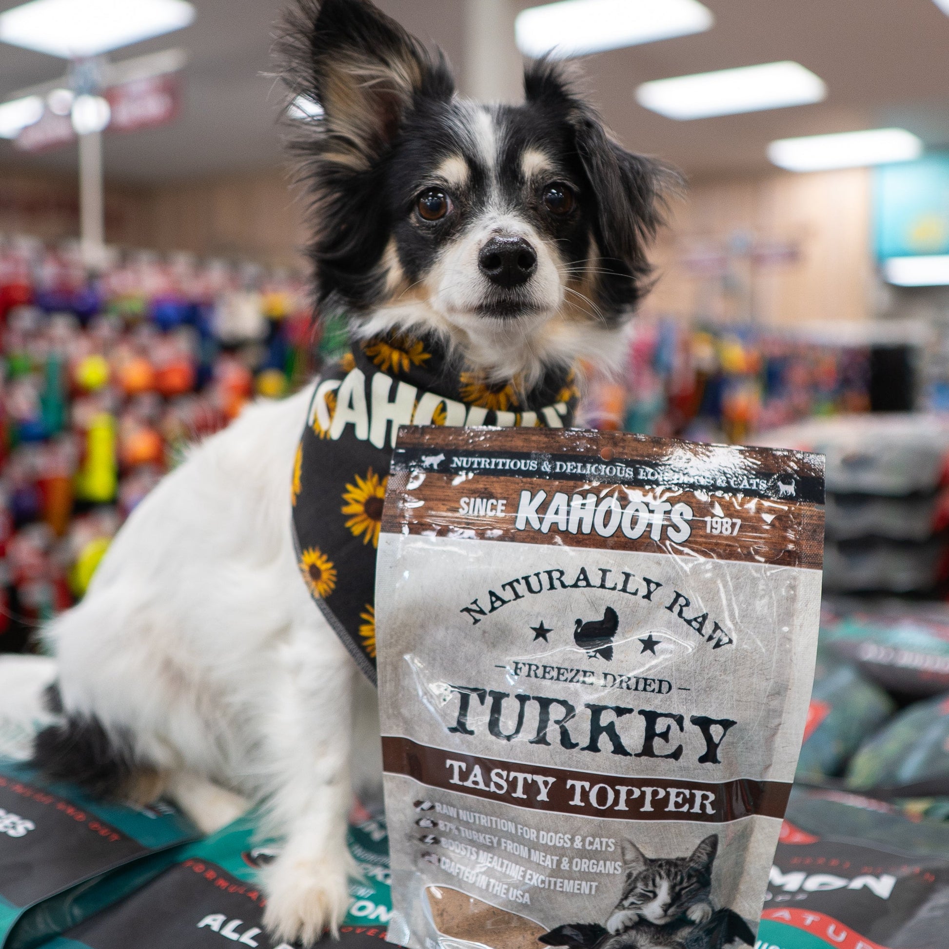 Dog Sitting next tio Kahoots Tasty Topper Turkey Bag