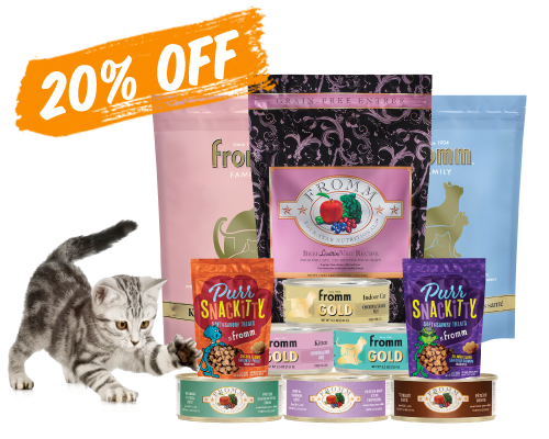 Kitten playing by Fromm cat products