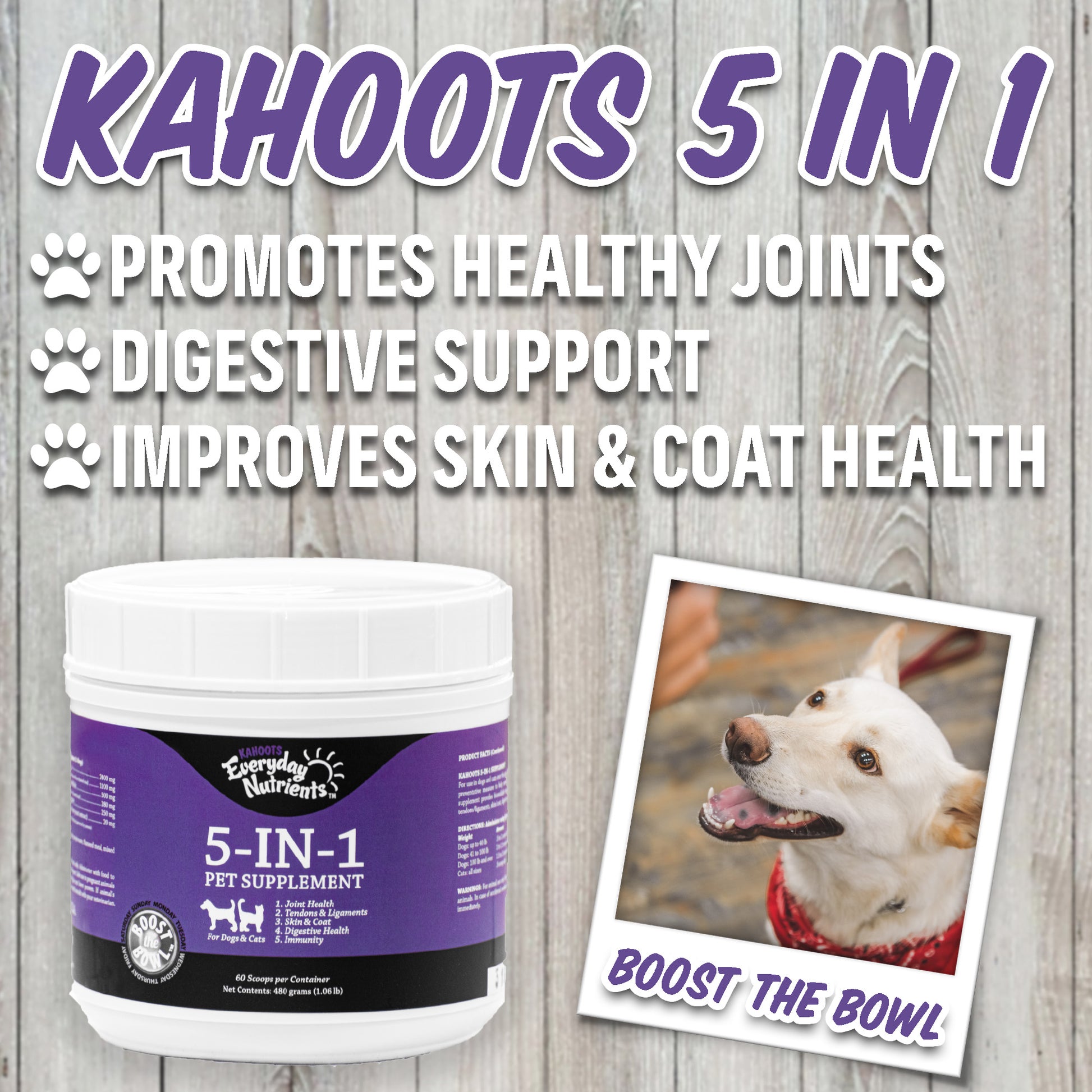 Pet supplement container labeled '5 IN 1' with a dog photo and text on a wooden background