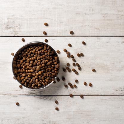 Beef kibble in bowl against a wooden background