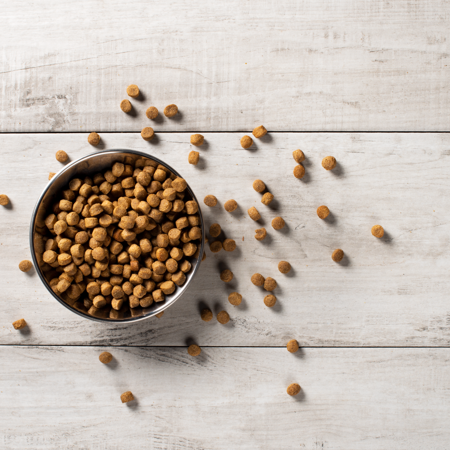 Chicken and rice dog kibble in a bowl and spilling onto a wooden background