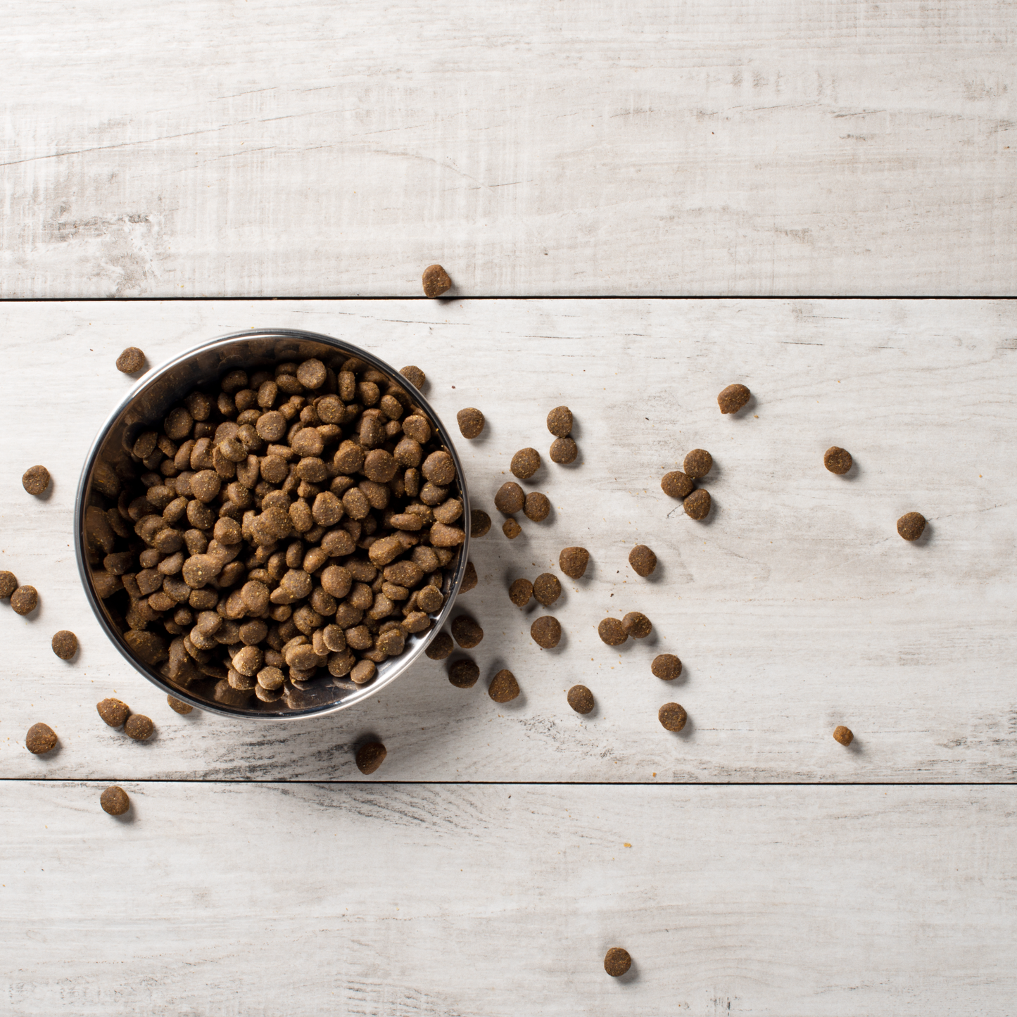 Turkey and salmon kibble in bowl and spilling onto wooden background