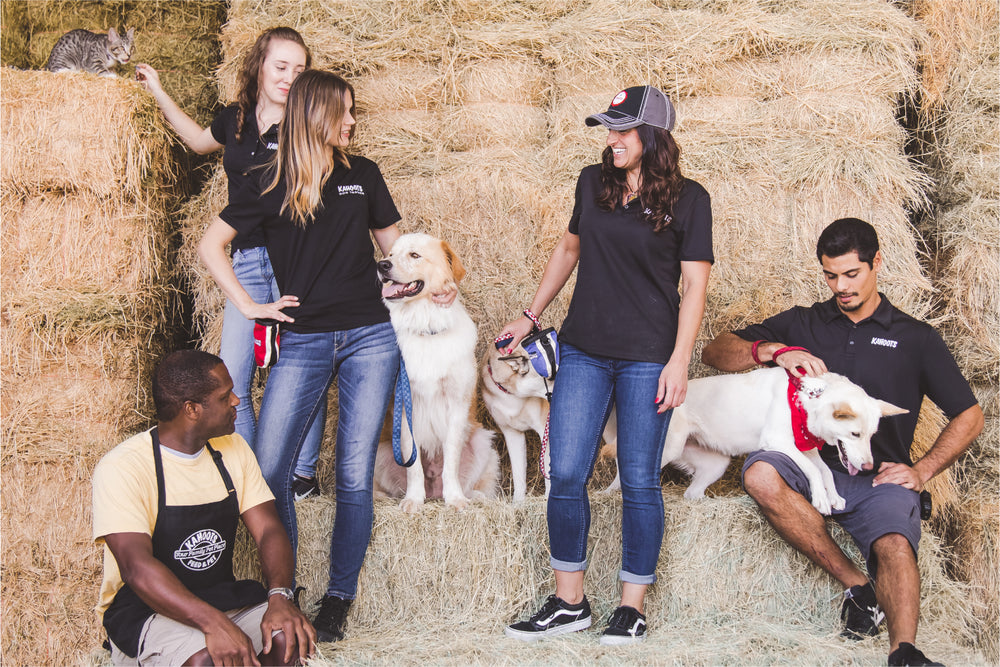Kahoots employees and their pets sitting on a hay stack