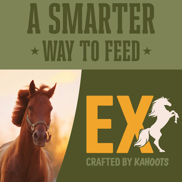 Promotional graphic with the text 'A SMARTER WAY TO FEED' above a split design: a brown horse portrait on the left and a dark olive background on the right with large yellow 'EX' lettering, a white rearing horse silhouette, and 'CRAFTED BY KAHOOTS'.